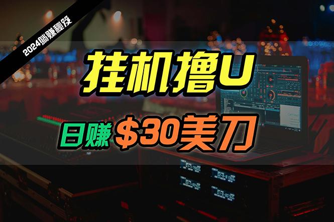 (10013期)日赚30美刀，2024最新海外挂机撸U内部项目，全程无人值守，可批量放大-蚂蚁汇资源分享项目网