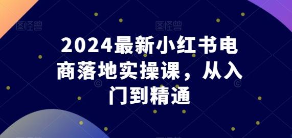 2024最新小红书电商落地实操课，从入门到精通-蚂蚁汇资源分享项目网