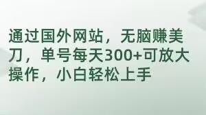 通过国外网站，无脑赚美刀，单号每天300+可放大操作，小白轻松上手【揭秘】-蚂蚁汇资源分享项目网