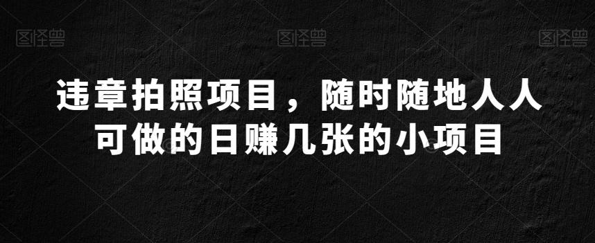 违章拍照项目，随时随地人人可做的日赚几张的小项目-蚂蚁汇资源分享项目网