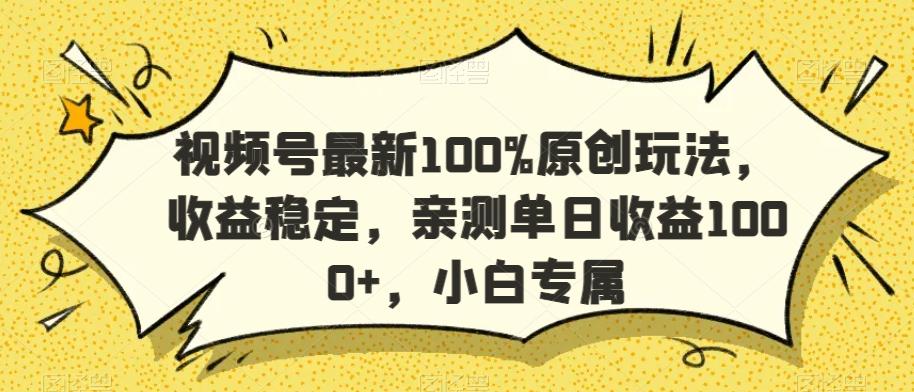 视频号最新100%原创玩法，收益稳定，亲测单日收益1000+，小白专属【揭秘】-蚂蚁汇资源分享项目网