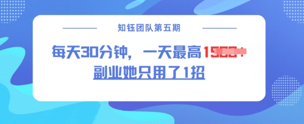 副业她只用了1招，每天30分钟，无脑二创，一天最高1.5k-蚂蚁汇资源分享项目网