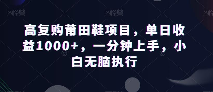 高复购莆田鞋项目，单日收益1000+，一分钟上手，小白无脑执行-蚂蚁汇资源分享项目网