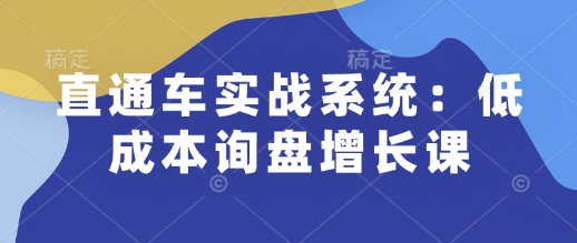 直通车实战系统：低成本询盘增长课，让个人通过技能实现升职加薪，让企业低成本获客，订单源源不断-蚂蚁汇资源分享项目网