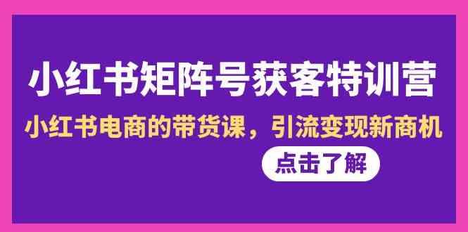 小红书矩阵号获客特训营-第10期，小红书电商的带货课，引流变现新商机-蚂蚁汇资源分享项目网