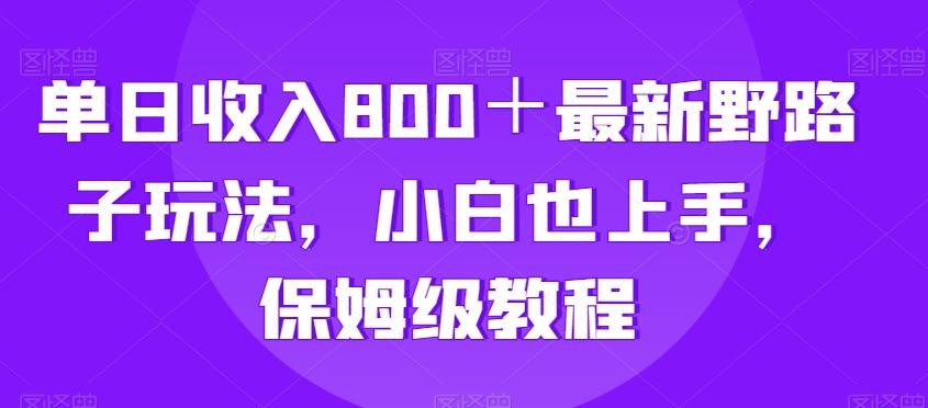 单日收入800＋最新野路子玩法，小白也上手，保姆级教程-蚂蚁汇资源分享项目网