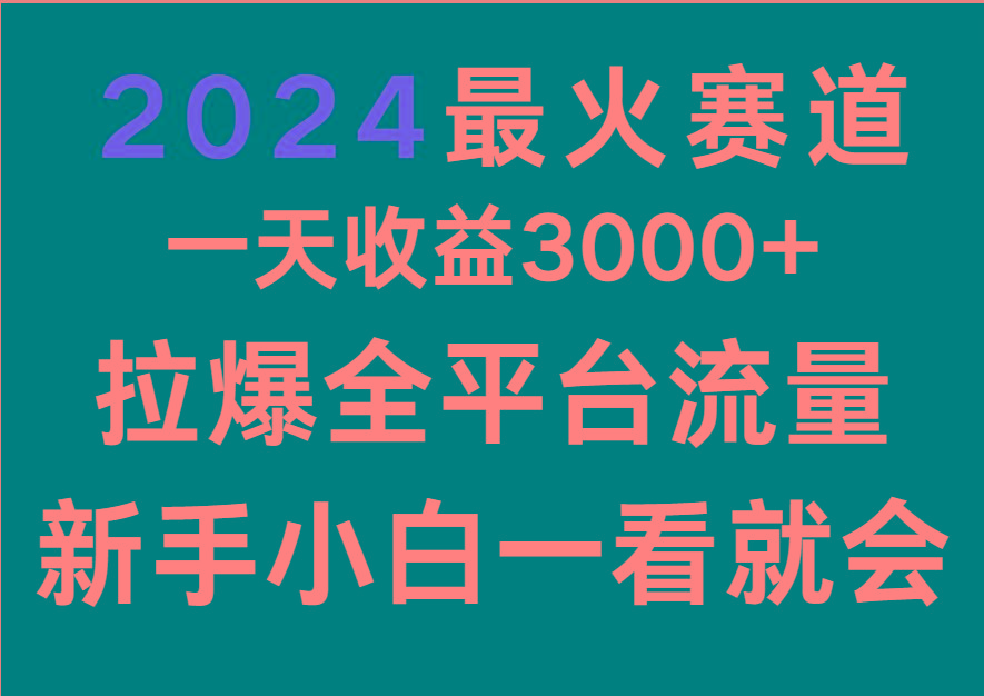 2024最火赛道，一天收一3000+.拉爆全平台流量，新手小白一看就会-蚂蚁汇资源分享项目网