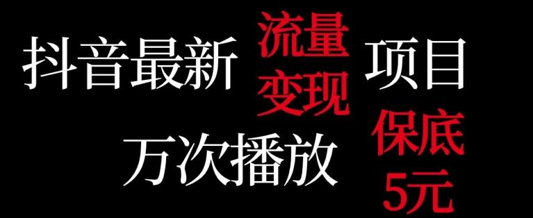 抖音流量变现，万次播放保底5元，额外收入-蚂蚁汇资源分享项目网