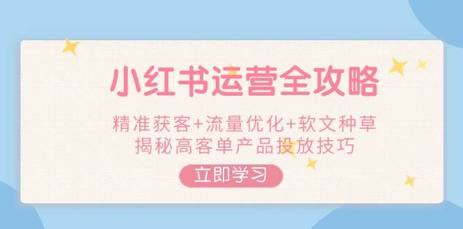 小红书运营全攻略，精准获客+流量优化+软文种草，揭秘高客单产品投放技巧-蚂蚁汇资源分享项目网