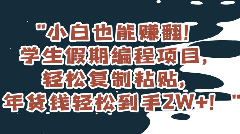 小白也能赚翻！学生假期编程项目，轻松复制粘贴，年货钱轻松到手2W+【揭秘】-蚂蚁汇资源分享项目网