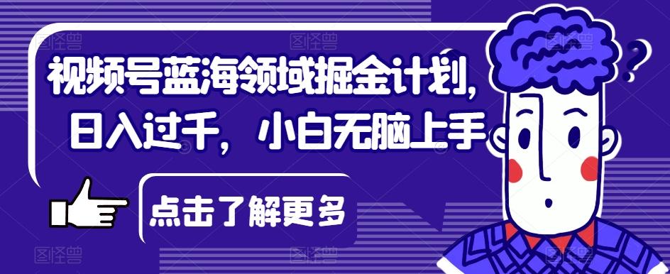 视频号蓝海领域掘金计划，日入过千，小白无脑上手【揭秘】-蚂蚁汇资源分享项目网