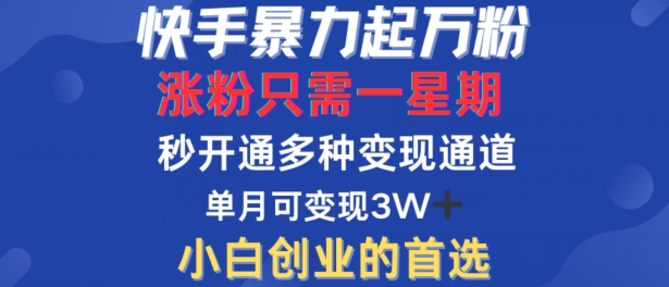 快手暴力起万粉，涨粉只需一星期，多种变现模式，直接秒开万合，单月变现过W【揭秘】-蚂蚁汇资源分享项目网