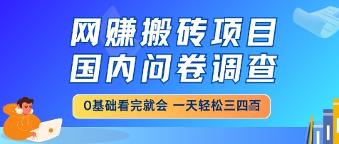 网创搬砖项目，国内问卷调查，小白轻松上手，一天三四张的也不难，干就完了【揭秘】-蚂蚁汇资源分享项目网