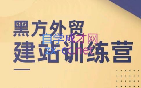 黑方老师·谷歌B端独立站建站推广-蚂蚁汇资源分享项目网