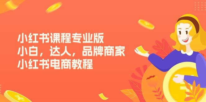 小红书课程专业版，小白，达人，品牌商家，小红书电商教程(15节-蚂蚁汇资源分享项目网