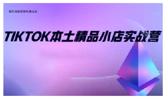 TikTok本土精品小店出海实战营，从入门到高阶，不止0-1!-蚂蚁汇资源分享项目网