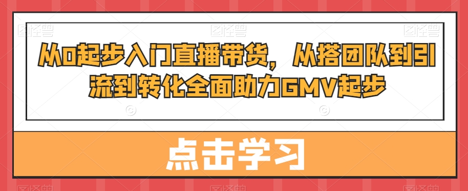 从0起步入门直播带货，​从搭团队到引流到转化全面助力GMV起步-蚂蚁汇资源分享项目网