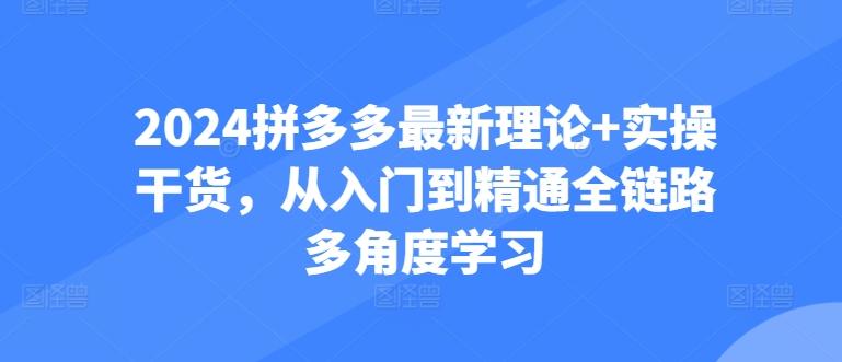 2024拼多多最新理论+实操干货，从入门到精通全链路多角度学习-蚂蚁汇资源分享项目网