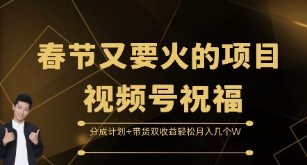 春节又要火的项目视频号祝福，分成计划+带货双收益，轻松月入几个W【揭秘】-蚂蚁汇资源分享项目网