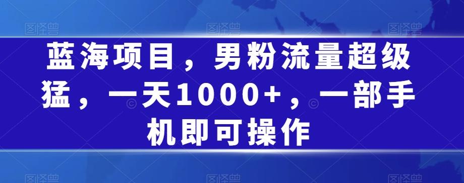 蓝海项目，男粉流量超级猛，一天1000+，一部手机即可操作【揭秘】-蚂蚁汇资源分享项目网
