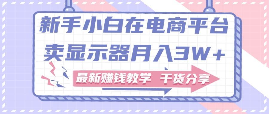 新手小白如何做到在电商平台卖显示器月入3W+，最新赚钱教学干货分享-蚂蚁汇资源分享项目网