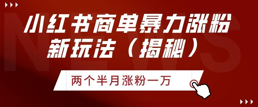 小红书商单暴力涨粉新玩法两个半月涨粉一万（揭秘）-蚂蚁汇资源分享项目网