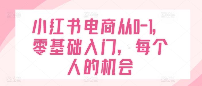 小红书电商从0-1，零基础入门，每个人的机会-蚂蚁汇资源分享项目网