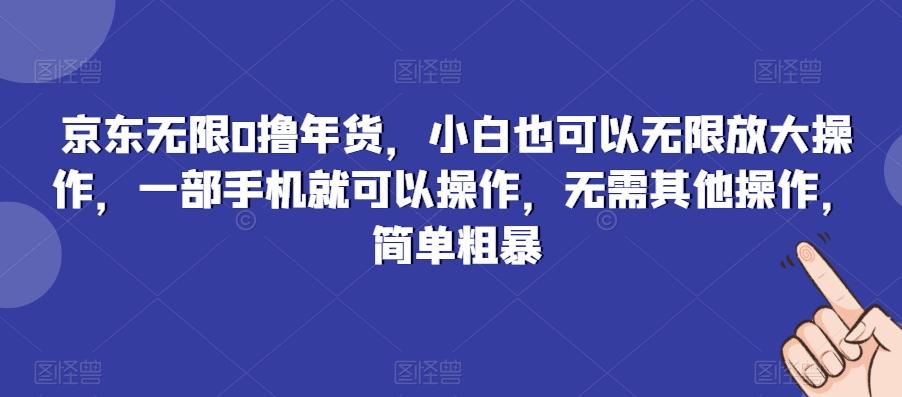 京东无限0撸年货，小白也可以无限放大操作，一部手机就可以操作，无需其他操作，简单粗暴-蚂蚁汇资源分享项目网