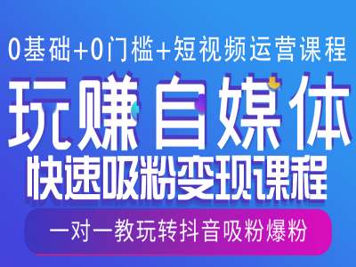0基础+0门槛+短视频运营课程,玩赚自媒体快速吸粉变现课程,一对一教玩转抖音吸粉爆粉