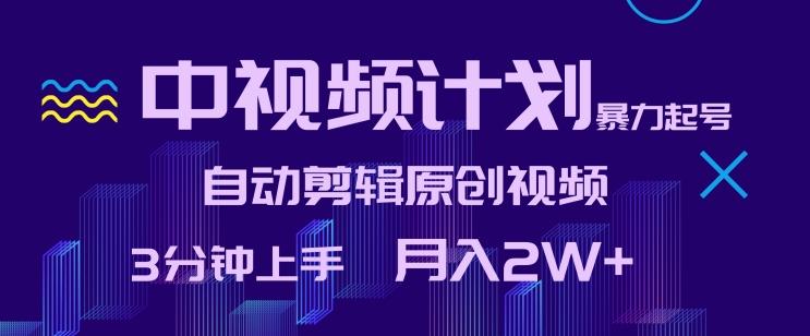 中视频计划暴力起号，自动剪辑原创视频，3分钟上手，月入2W+【揭秘】-蚂蚁汇资源分享项目网