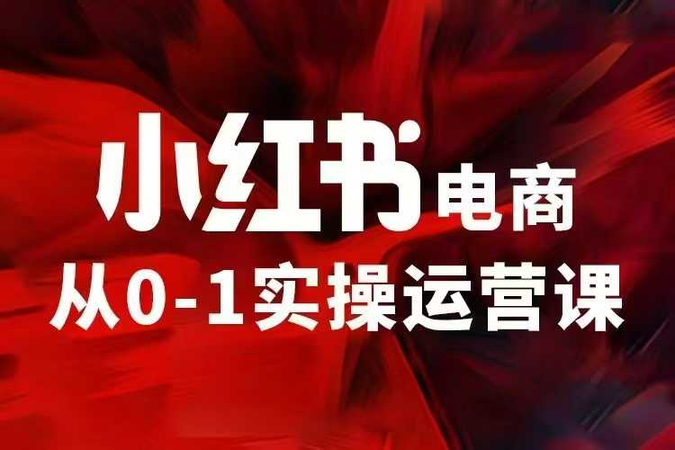 小红书电商运营，97节小红书vip内部课，带你实现小红书赚钱-蚂蚁汇资源分享项目网