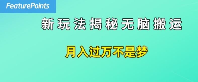 简单操作，每天50美元收入，搬运就是赚钱的秘诀【揭秘】-蚂蚁汇资源分享项目网