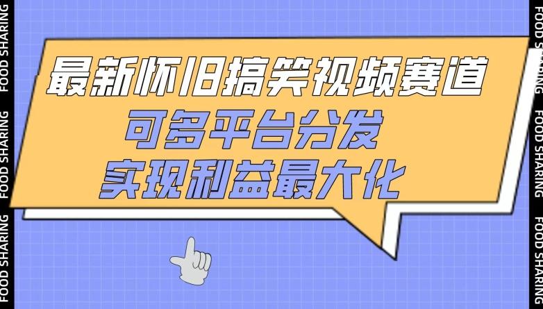 最新怀旧搞笑视频赛道，可多平台分发，实现利益最大化【揭秘】-蚂蚁汇资源分享项目网