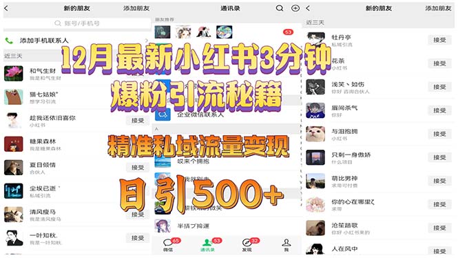 12月最新小红书3分钟爆粉引流秘籍 精准私域流量变现 日引500+-蚂蚁汇资源分享项目网