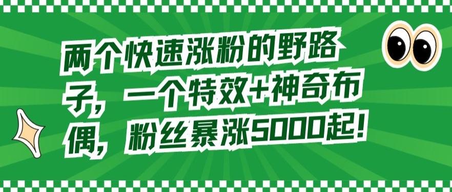 两个快速涨粉的野路子，一个特效+神奇布偶，粉丝暴涨5000起【揭秘】-蚂蚁汇资源分享项目网