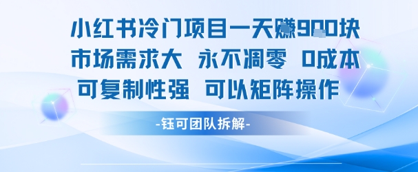 小红书冷门项目一天收益9张，市场需求大，0成本，可复制性强可以矩阵操作-蚂蚁汇资源分享项目网