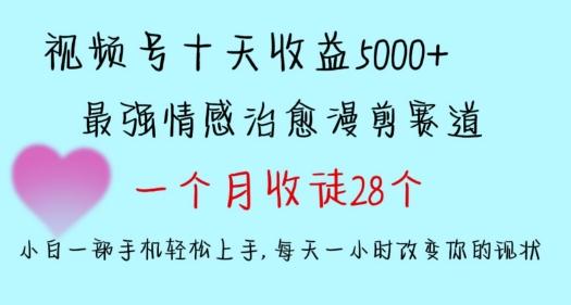 十天收益5000+，多平台捞金，视频号情感治愈漫剪，一个月收徒28个，小白一部手机轻松上手【揭秘】-蚂蚁汇资源分享项目网