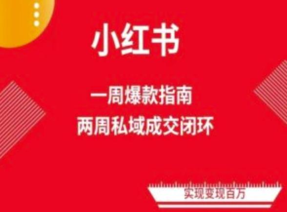 爆款小红书免费流量体系课程(两周变现)，小红书电商教程-蚂蚁汇资源分享项目网