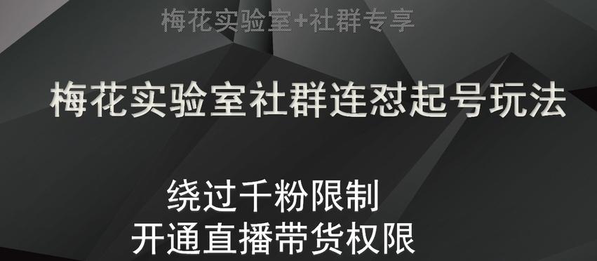 梅花实验室社群连怼起号玩法，视频号绕过千粉限制，开通直播带货权限【揭秘】-蚂蚁汇资源分享项目网