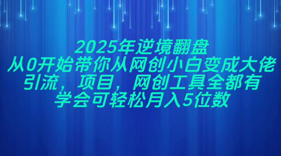 2025年逆境翻盘，从0开始带你从网创小白变成大佬，引流，项目，网创工…-蚂蚁汇资源分享项目网