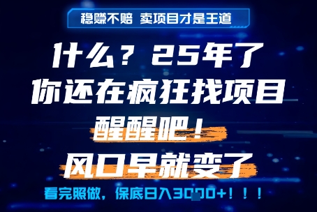 什么？25年你还在疯狂找项目做，醒醒吧，看完这些你全都懂了！【揭秘】-蚂蚁汇资源分享项目网