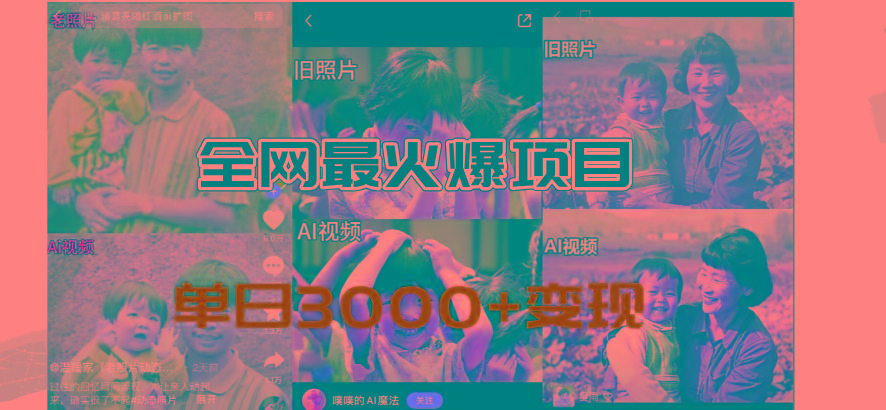 全网爆火的AI让老照片动起来教程，蹭热点日赚3000+，内含免费工具一键…-蚂蚁汇资源分享项目网