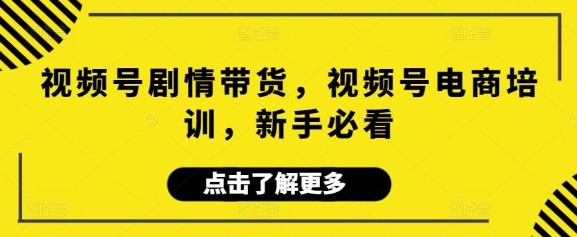 视频号剧情带货，视频号电商培训，新手必看-蚂蚁汇资源分享项目网