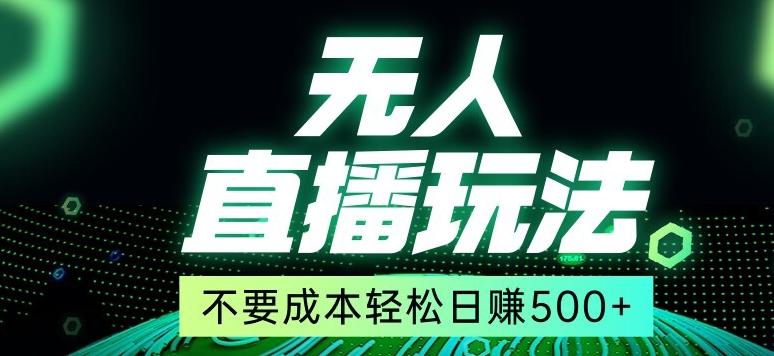 全网首发24年最新无人直播玩法，不需要成本，无需人力，一台电脑24小时为你工作-蚂蚁汇资源分享项目网