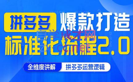 云杉老师·拼多多爆款打造标准化流程2.0-蚂蚁汇资源分享项目网