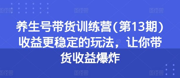 养生号带货训练营(第13期)收益更稳定的玩法，让你带货收益爆炸-蚂蚁汇资源分享项目网
