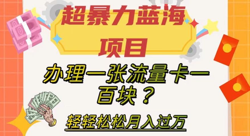 超暴力蓝海项目，办理一张流量卡一百块？轻轻松松月入过万，保姆级教程【揭秘】-蚂蚁汇资源分享项目网