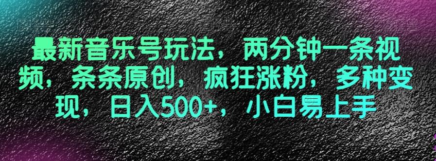 最新音乐号玩法，两分钟一条视频，条条原创，疯狂涨粉，多种变现，日入500+，小白易上手【揭秘】-蚂蚁汇资源分享项目网