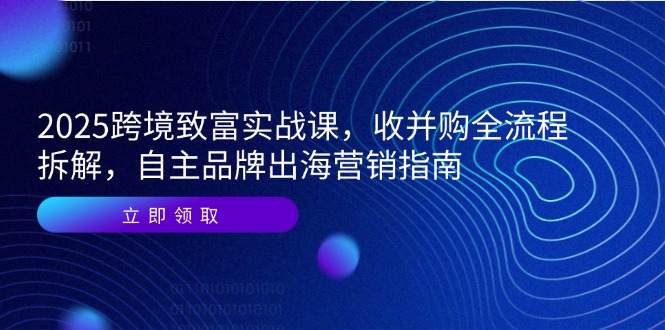2025跨境致富实战课，收并购全流程拆解，自主品牌出海营销指南-蚂蚁汇资源分享项目网