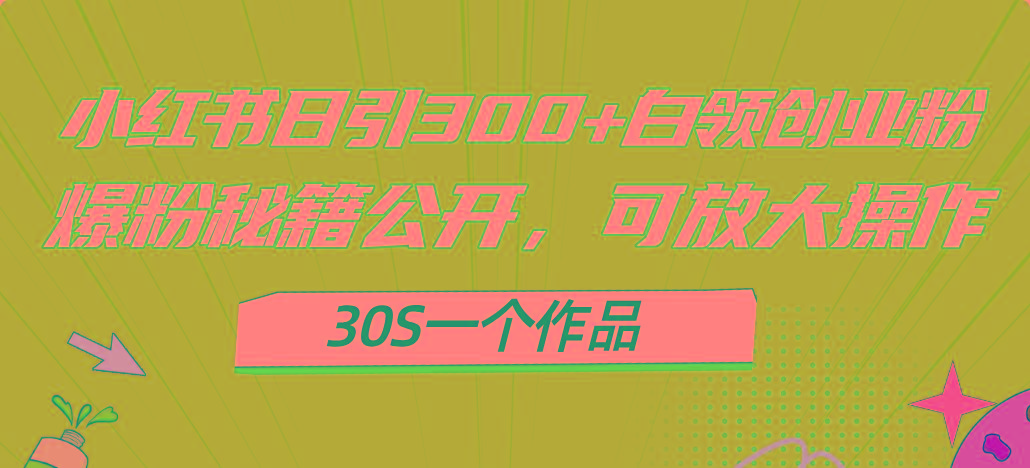 小红书日引300+高质白领创业粉，可放大操作，爆粉秘籍！30s一个作品-蚂蚁汇资源分享项目网